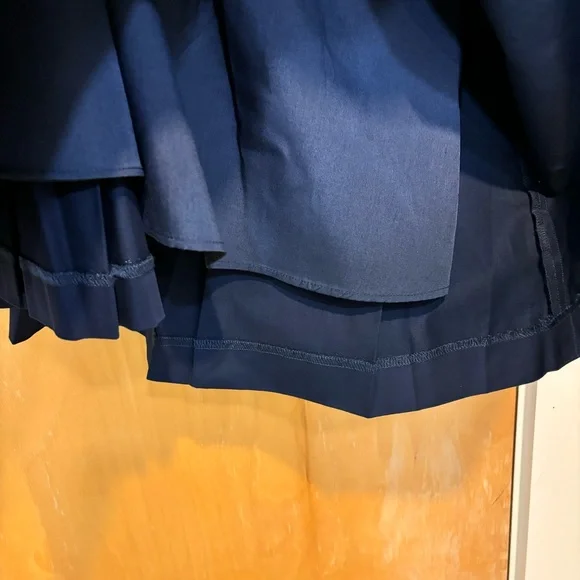 Anthropologie Pleated Midi Skirt - Picture 12 of 15